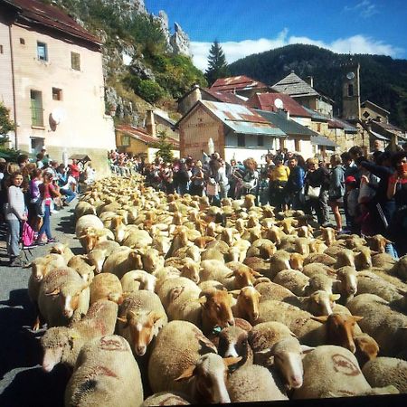 Le Chalet Des Buisses Hotel Roubion Kültér fotó